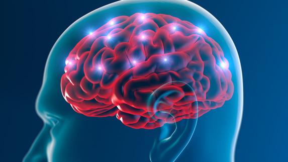 Rutgers‒Camden Researcher Investigates Cause of Neurodegenerative Diseases.