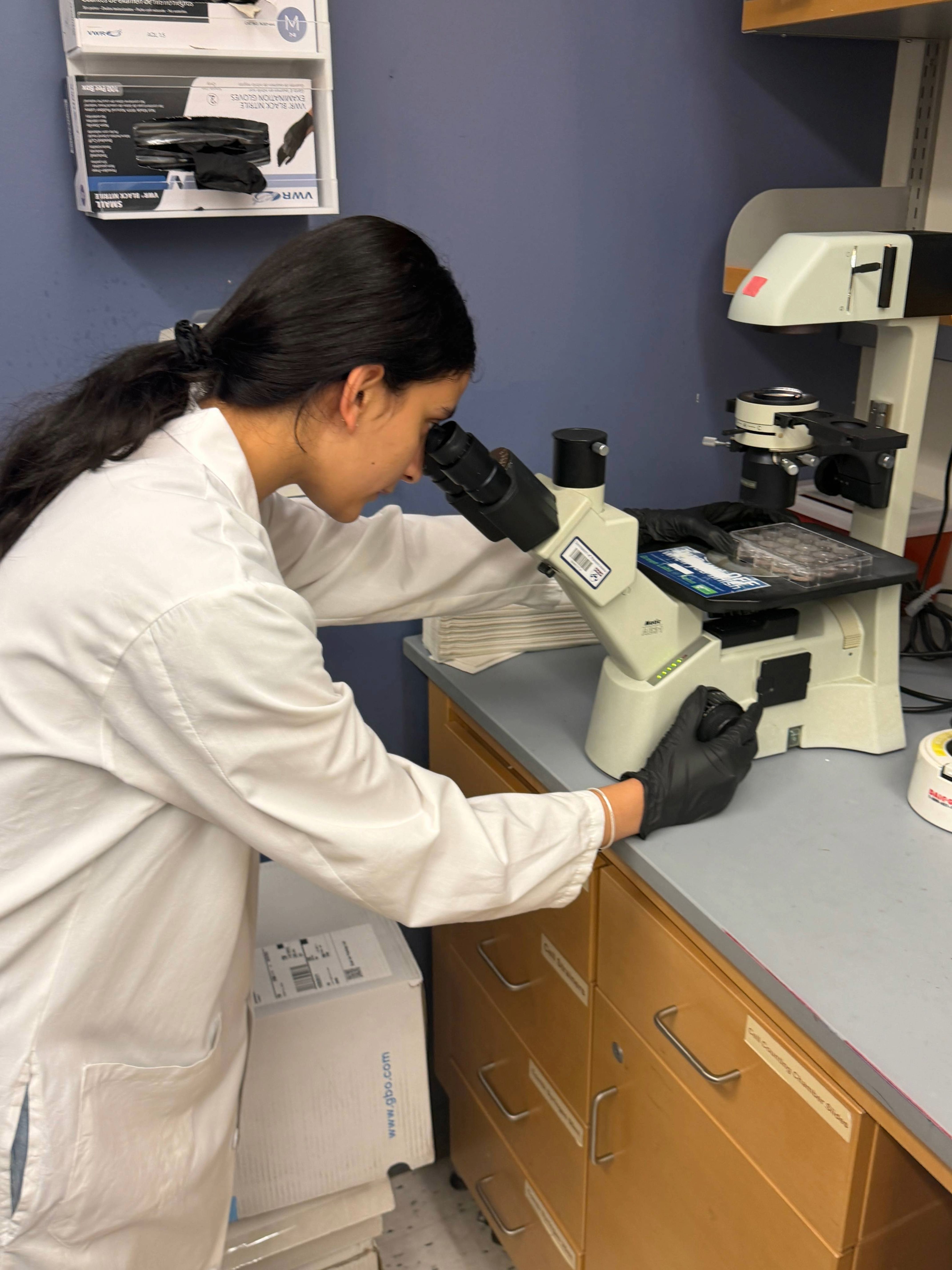 Krisha Patel at the microscope