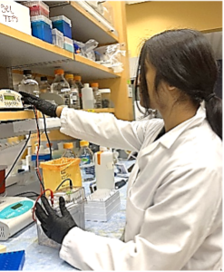 Ovia Dushyanthan taking bottle from lab shelf