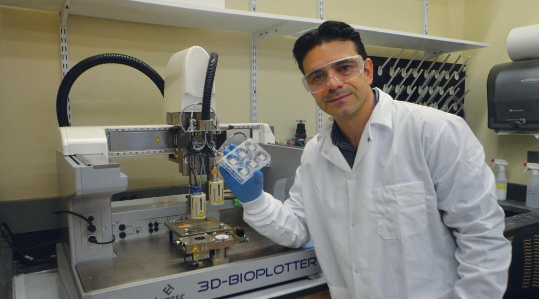 NJIT’s Guvendiren Develops 3D-Printed Biomaterials to Create Rejection-Proof Organs