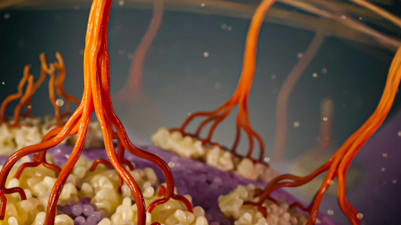 Scientists Witness Plant Cells Generate Cellulose and Form Cell Walls for First Time.