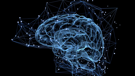 Researchers Target Alzheimer’s Risk and Resilience Among Brazilian Immigrants.