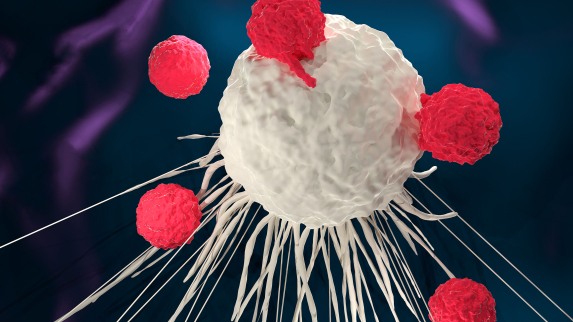 Study Differentiating Function of Two Immune Cells Could Improve Vaccine Design.