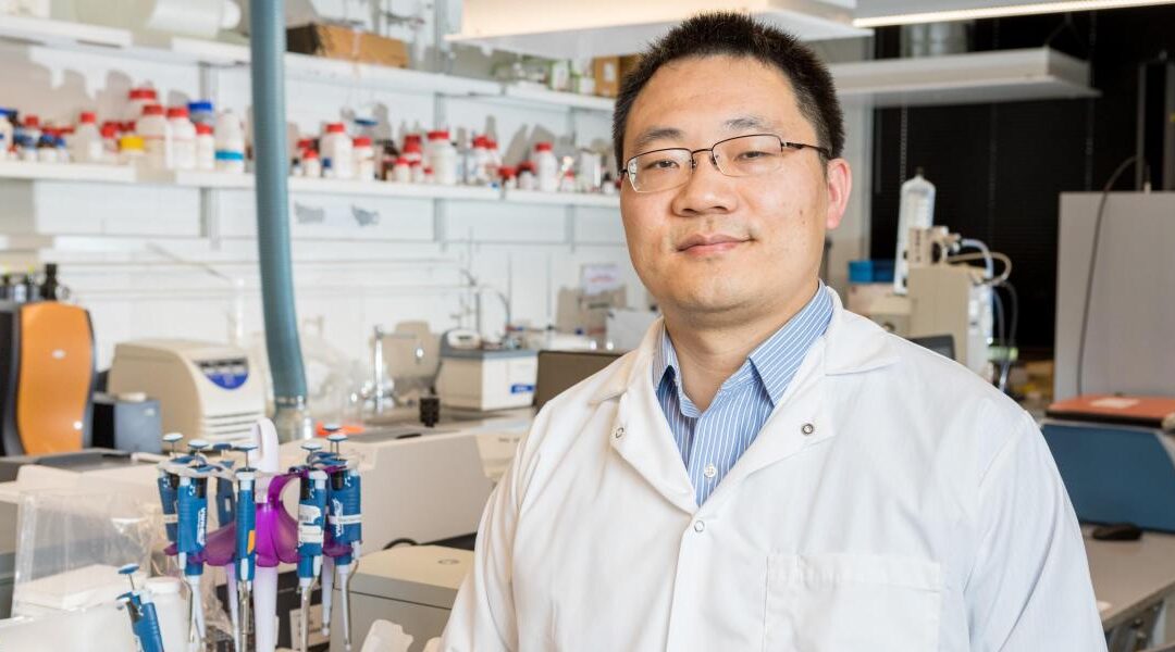 NJIT’s Xu is Developing a Timed-Release mRNA Vaccine with an Extended Shelf Life